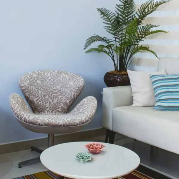 spasso saude mogi guaçu dra laura domingues ortodontia (6)